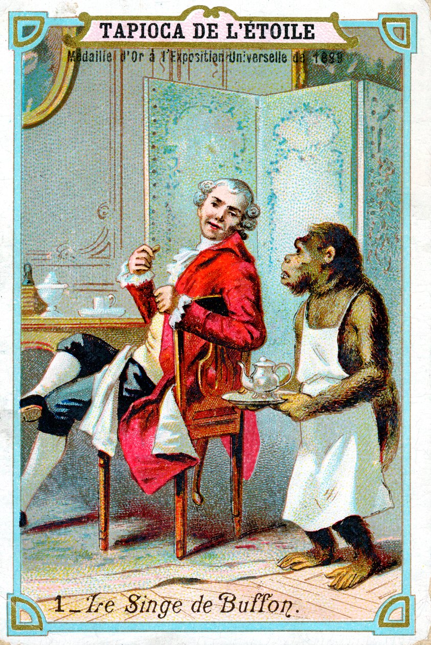 George-Louis Leclerc, Conde de Buffon, naturalista francés del siglo XVIII de Unbekannt