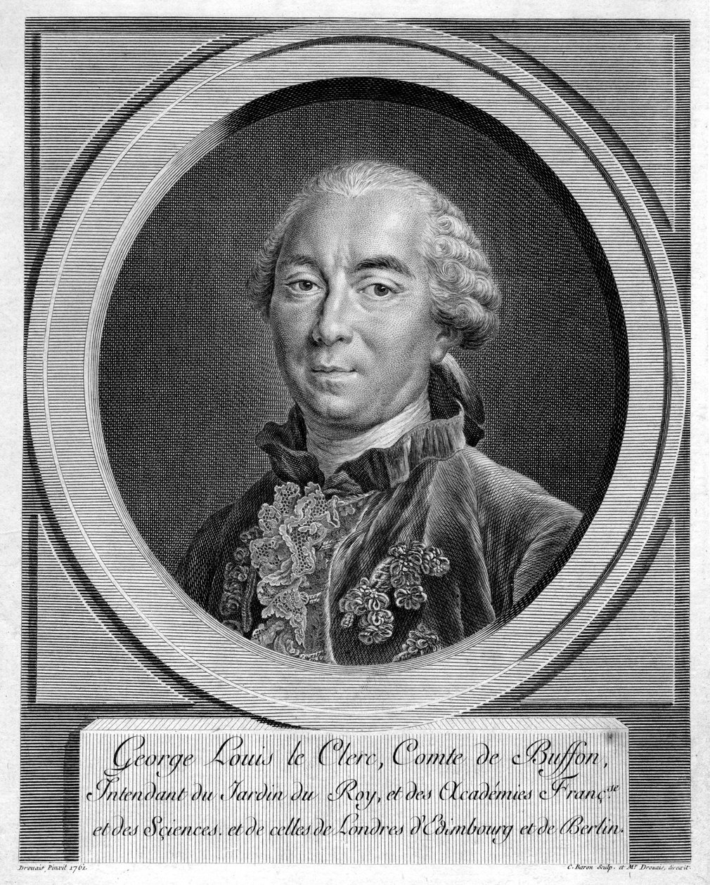 Georges-Louis Leclerc, Conde de Buffon, naturalista francés, 1761 de Unbekannt
