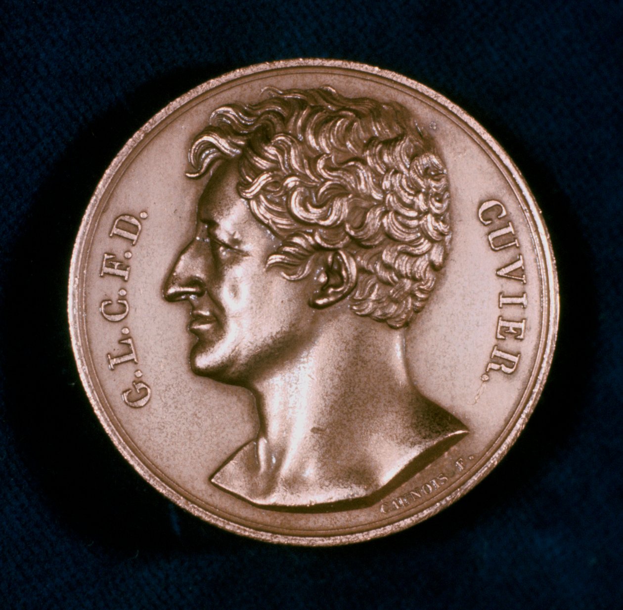 Georges Leopold Chretien Frederic Dagobert, Barón Cuvier, anatomista francés, siglo XIX de Unbekannt