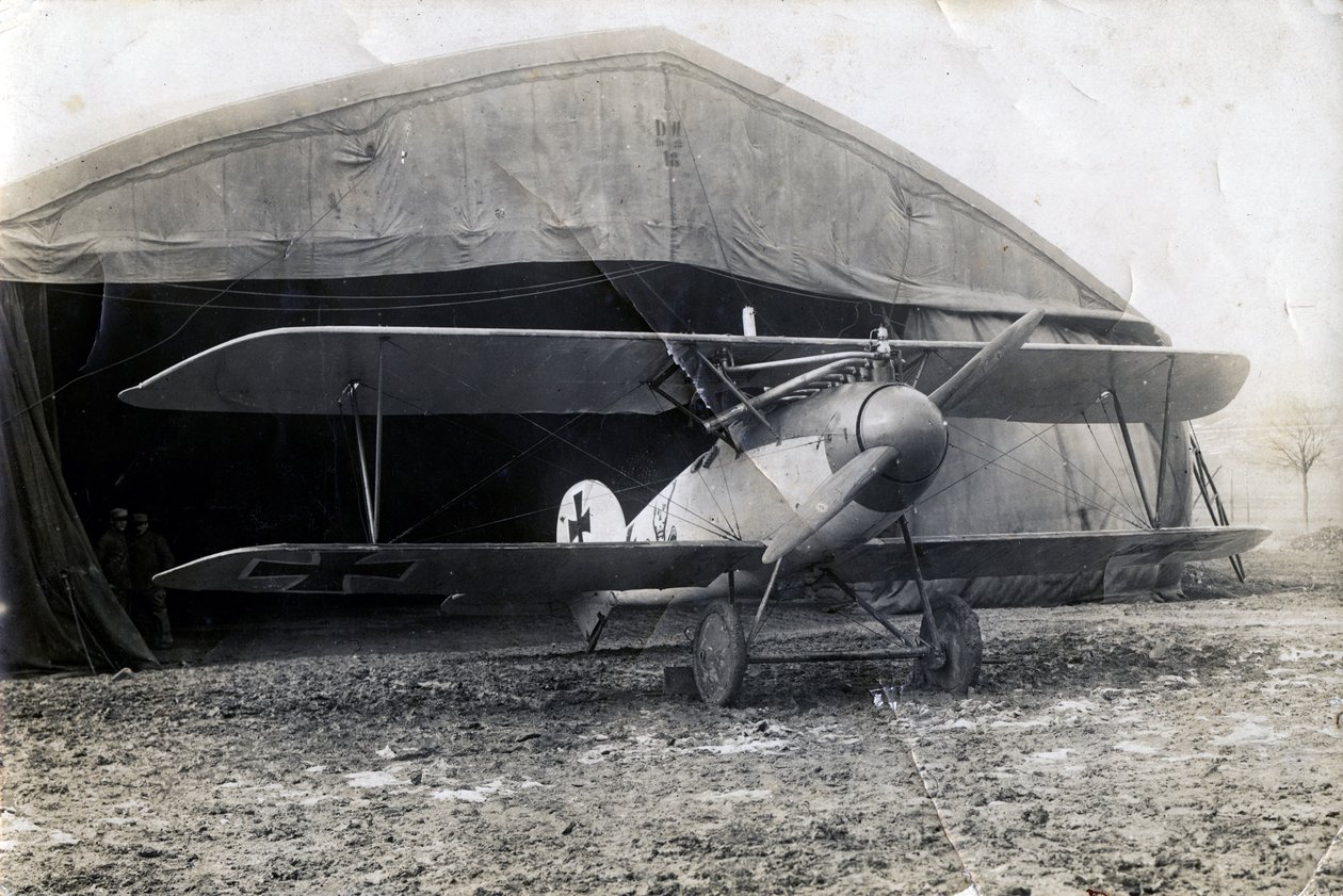 Albatros alemán DV, Souilly, Francia, 2 de enero de 1918 de Unbekannt