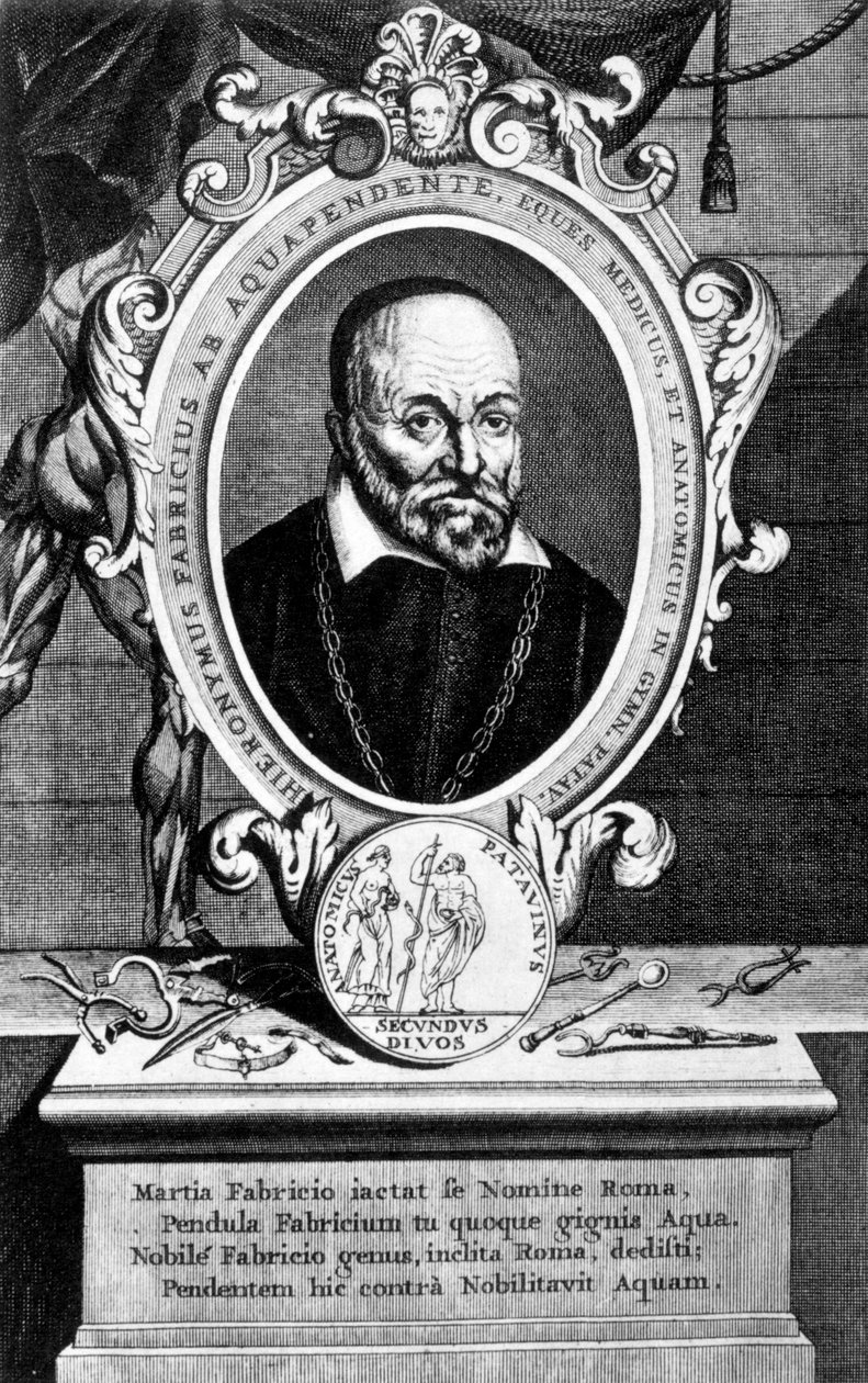 Girolamo Fabrici, anatomista y cirujano italiano, siglo XVII de Unbekannt