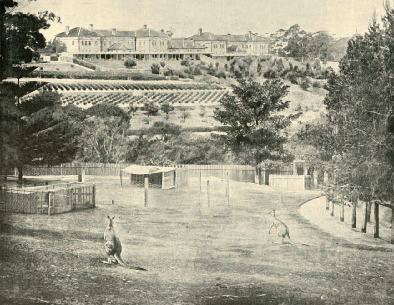Manicomio de Gladesville, Nueva Gales del Sur, 1901 de Unbekannt