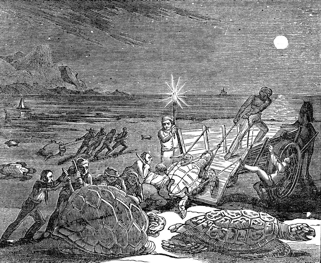 Tortugas Verdes y Tortugas Cabezón capturadas en la costa de Cuba, 1832 de Unbekannt