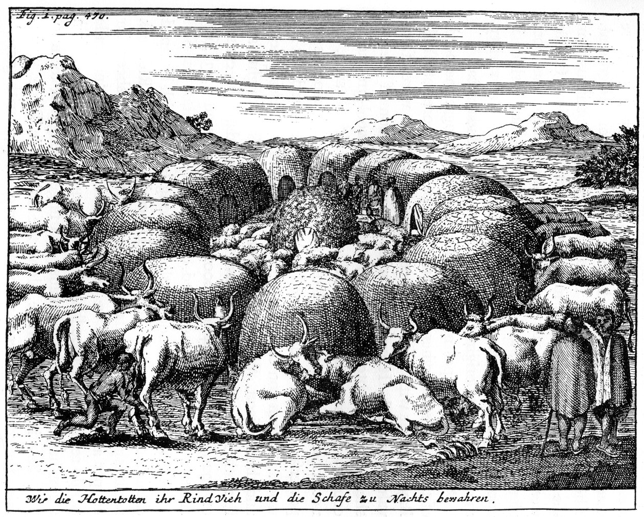 Cuidando ovejas y ganado por la noche, Sudáfrica, siglo XVIII 1931 de Unbekannt