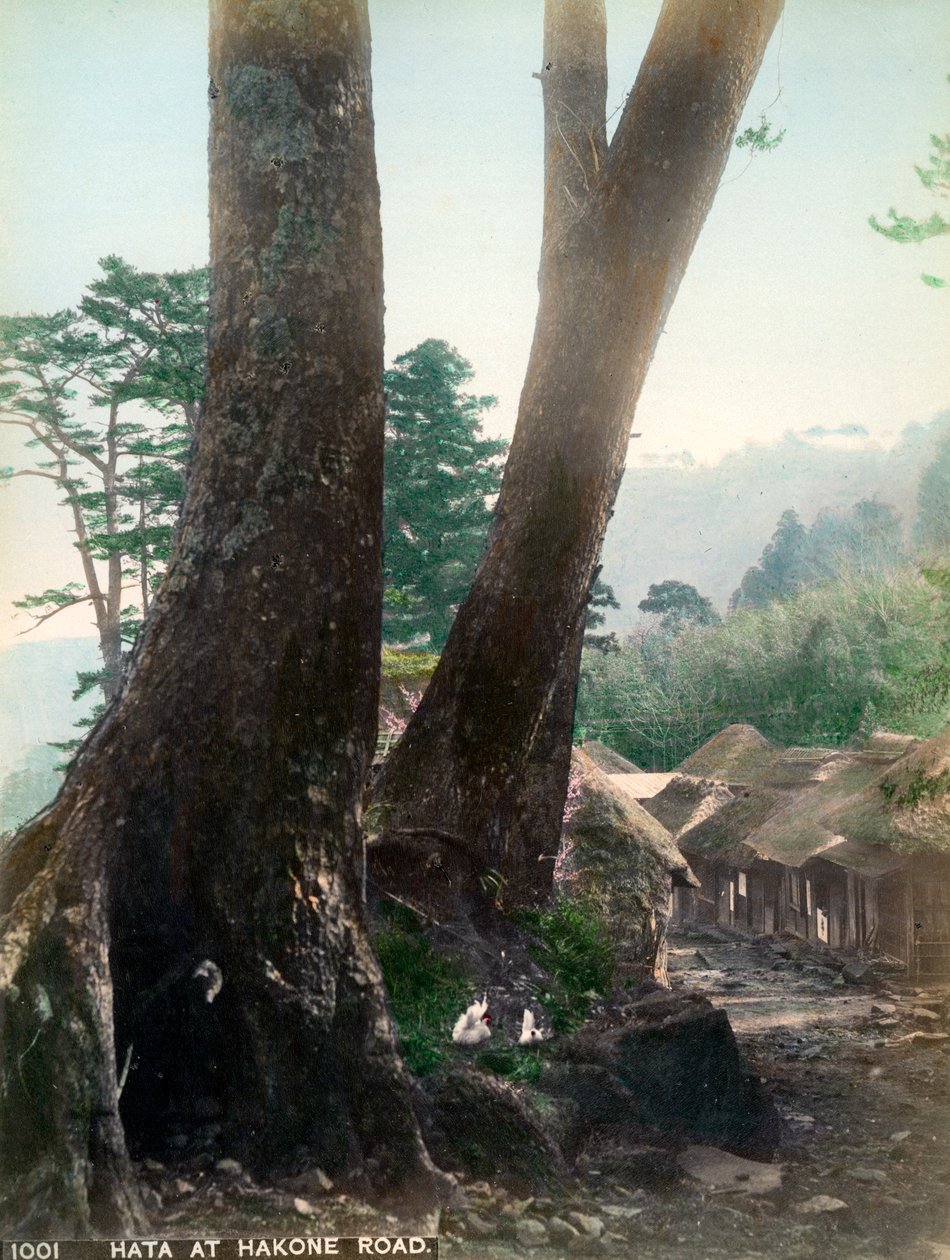 Hata en el camino de Hakone, Japón, principios del siglo XX de Unbekannt