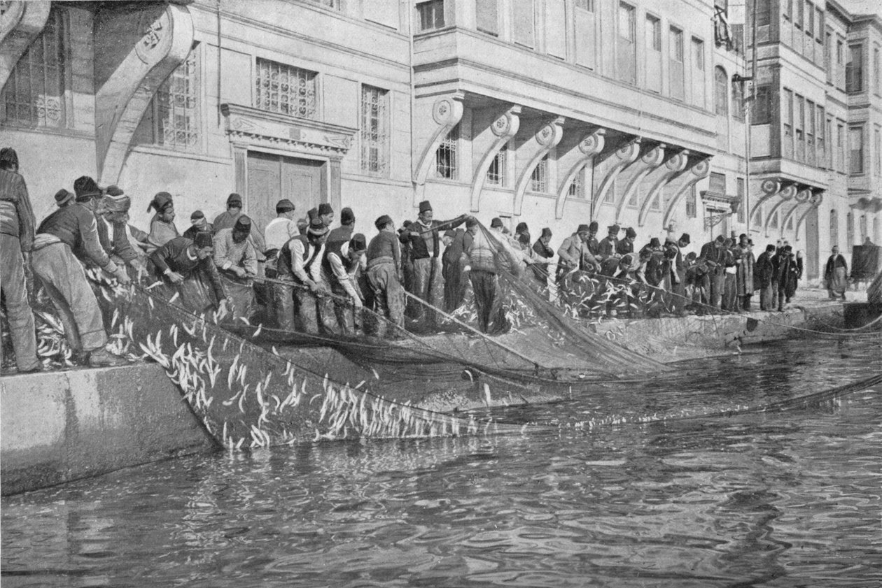 Arrastrando un grupo de 15000 peces en Emirgian en el Bósforo, c. 1901, 1903 de Unbekannt