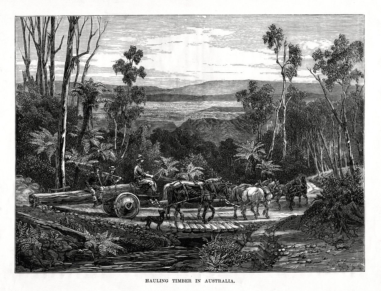 Transporte de madera, Australia de Unbekannt