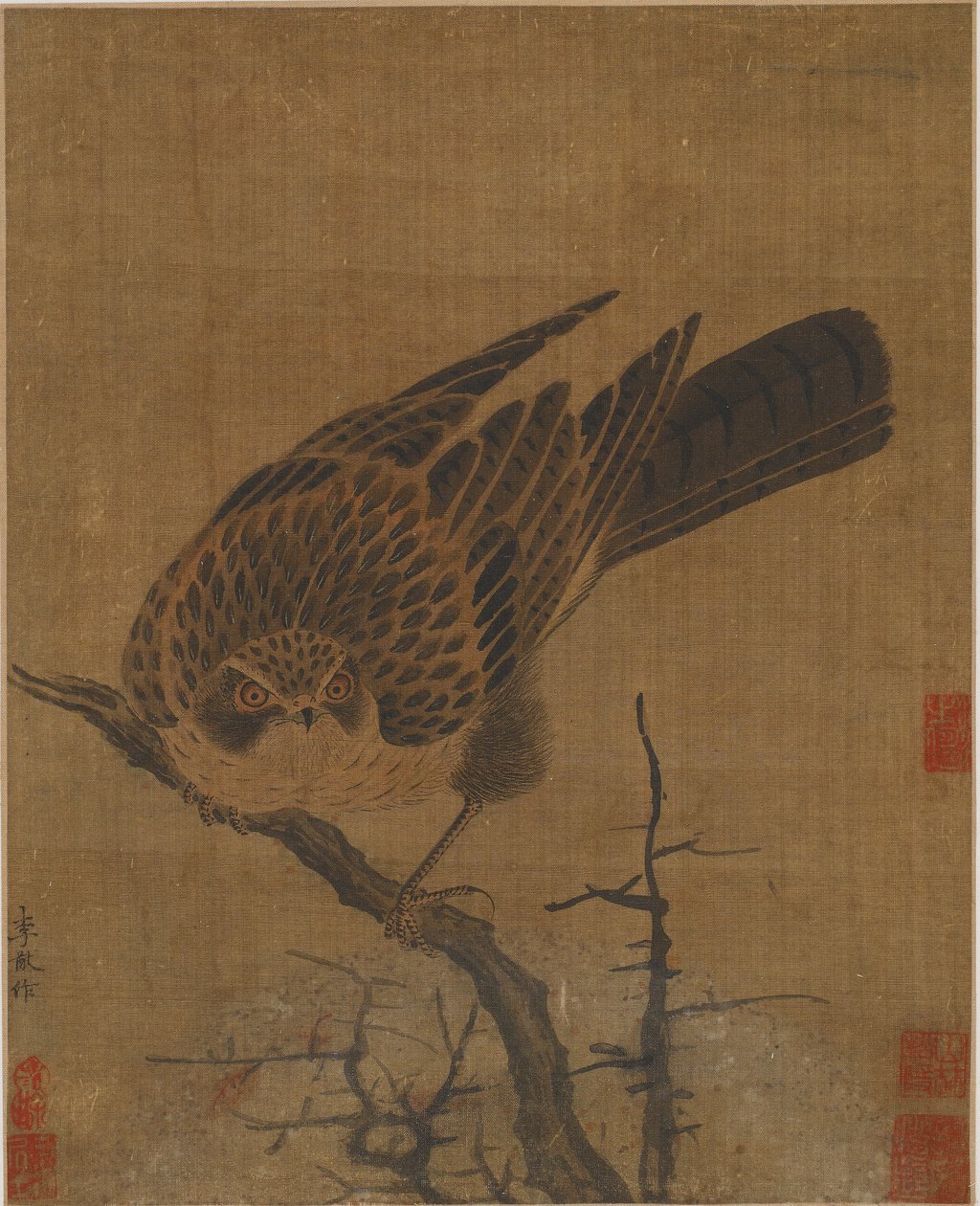 Halcón en una rama sin hojas, posiblemente dinastía Yuan, 1279-1368 de Unbekannt