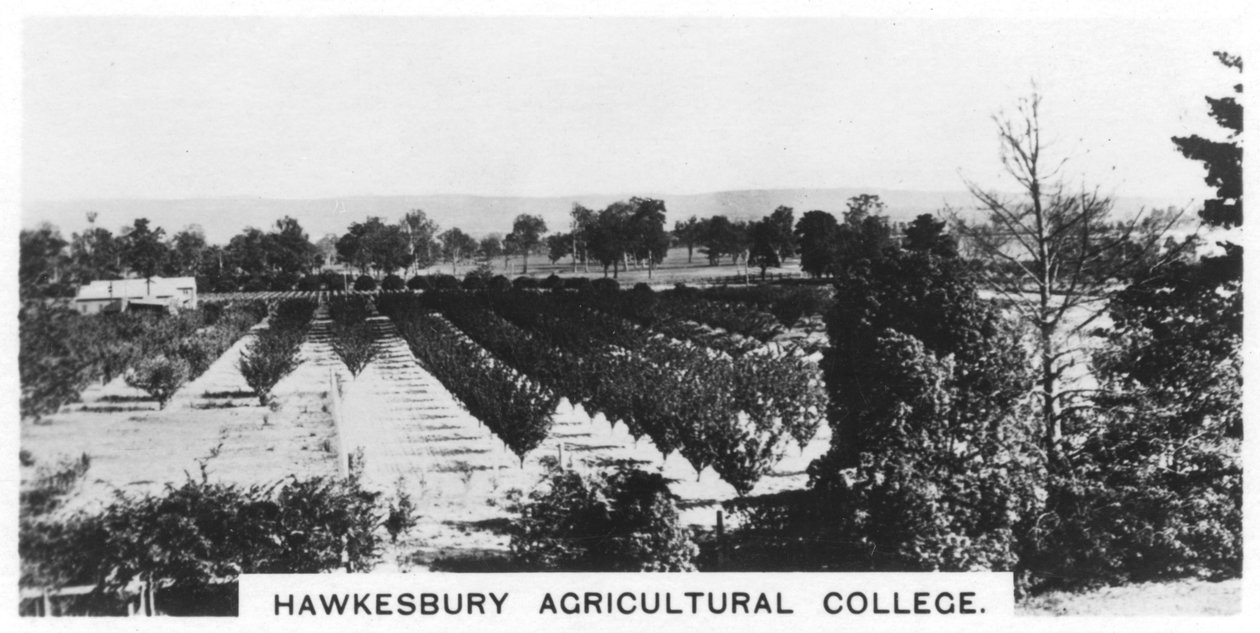 Colegio Agrícola de Hawkesbury, Nueva Gales del Sur, Australia de Unbekannt