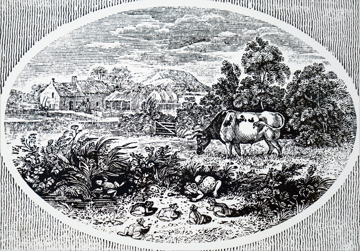 Cabecera por Thomas Bewick de Unbekannt
