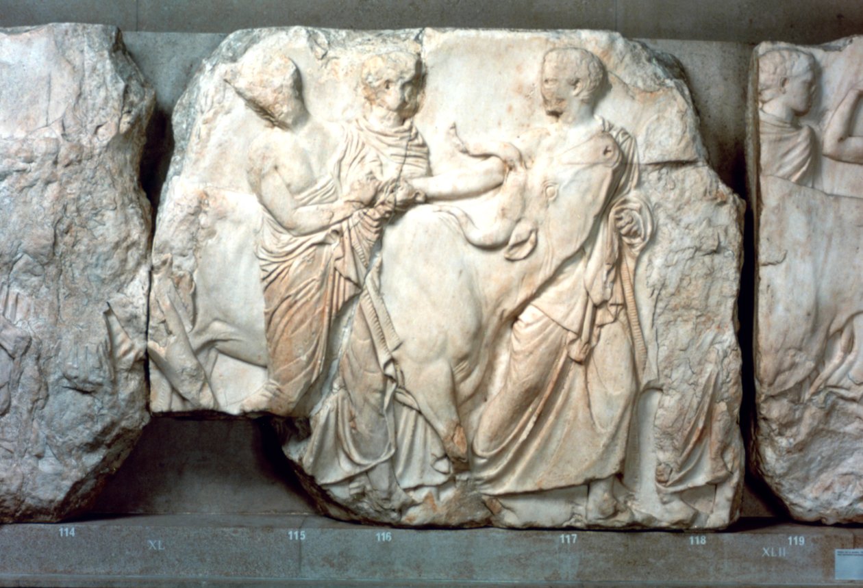 Novillas llevadas al sacrificio, del friso sur del Partenón, 447-432 a.C. de Unbekannt