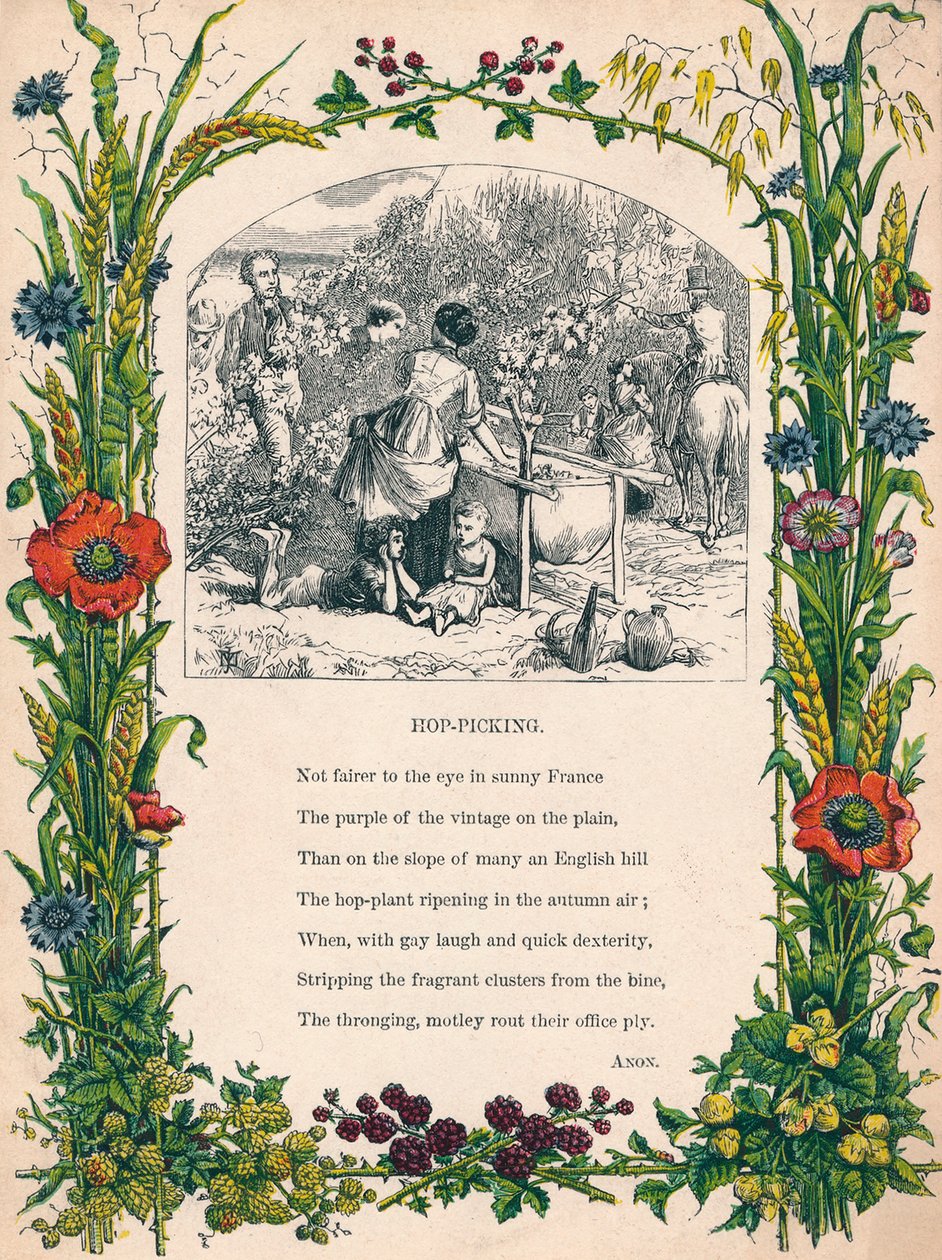 Recolección de lúpulo, c1900 de Unbekannt