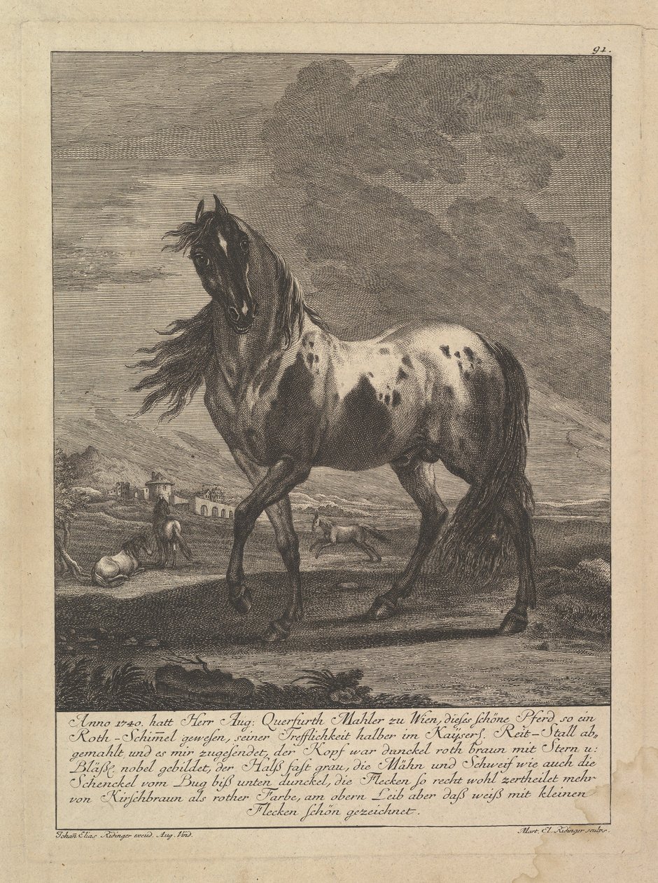 Caballo, siglo XVIII de Unbekannt