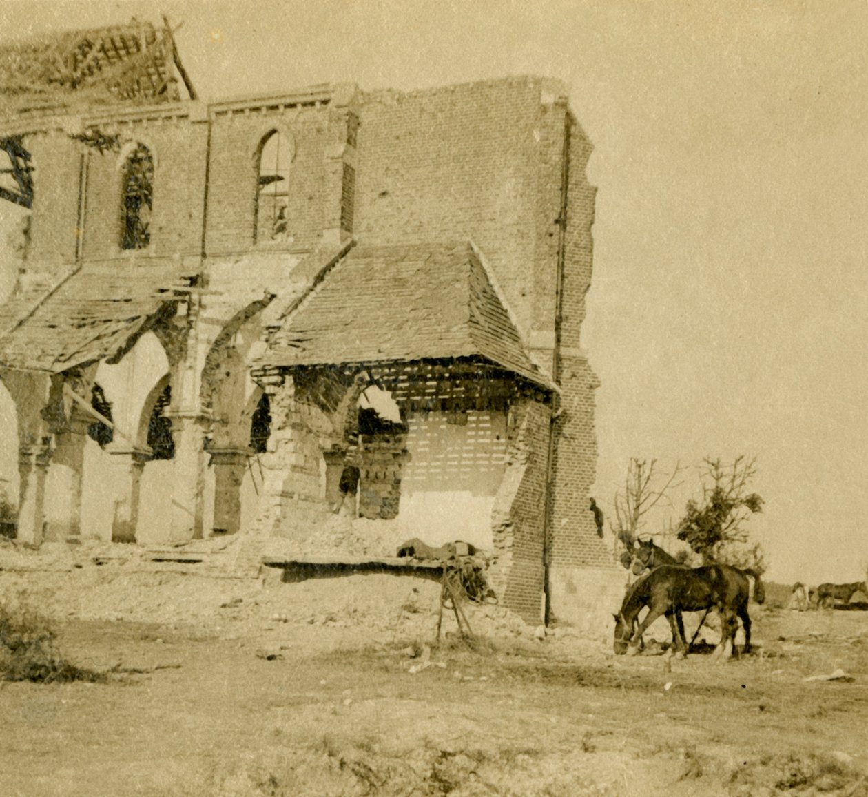 Caballos pastando cerca de una iglesia en ruinas, Frise, norte de Francia, c. 1914-c. 1918 de Unbekannt