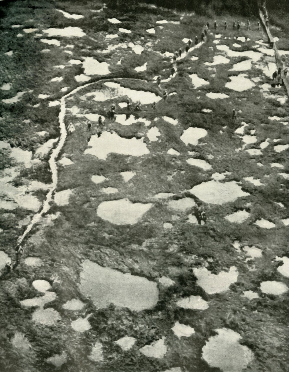 Cómo el clima obstaculizó el avance, 1919 de Unbekannt