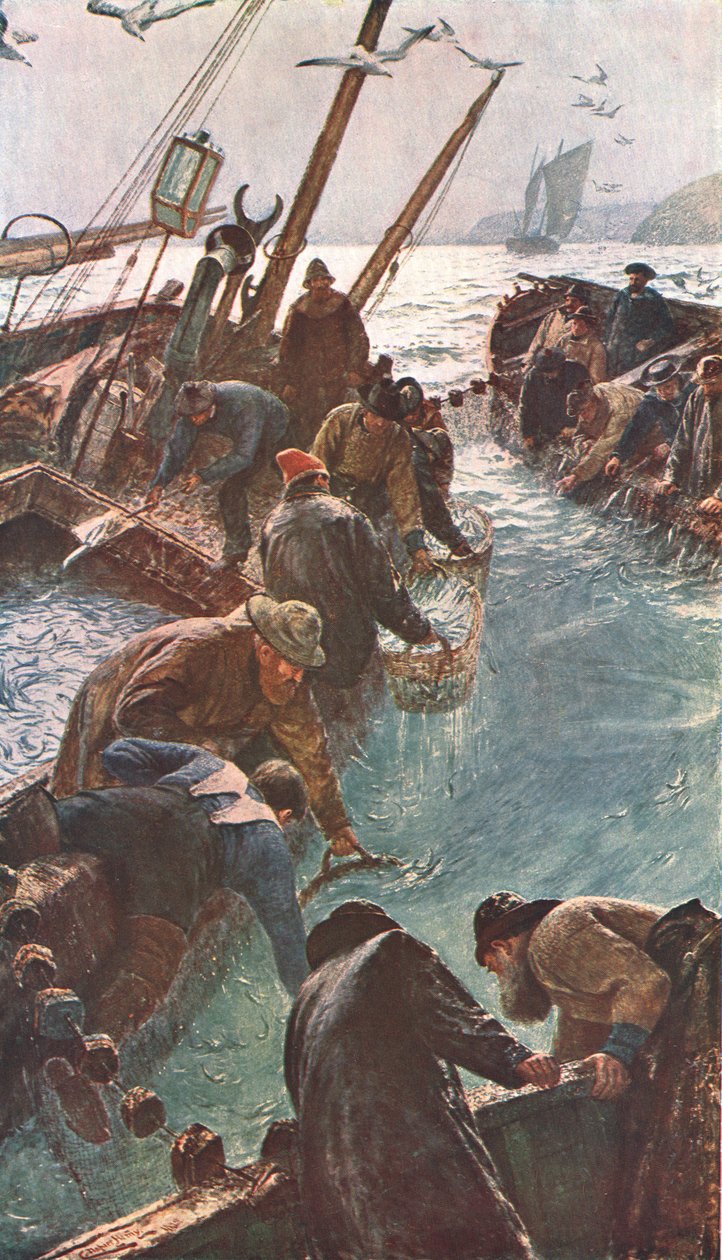 Cómo atrapamos las sardinas, 1895, c1902 de Unbekannt
