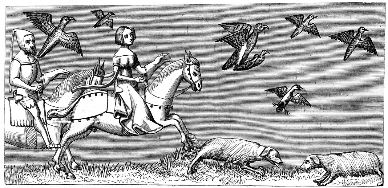 Cómo hacer volar a los halcones jóvenes, siglo XIV 1849 de Unbekannt