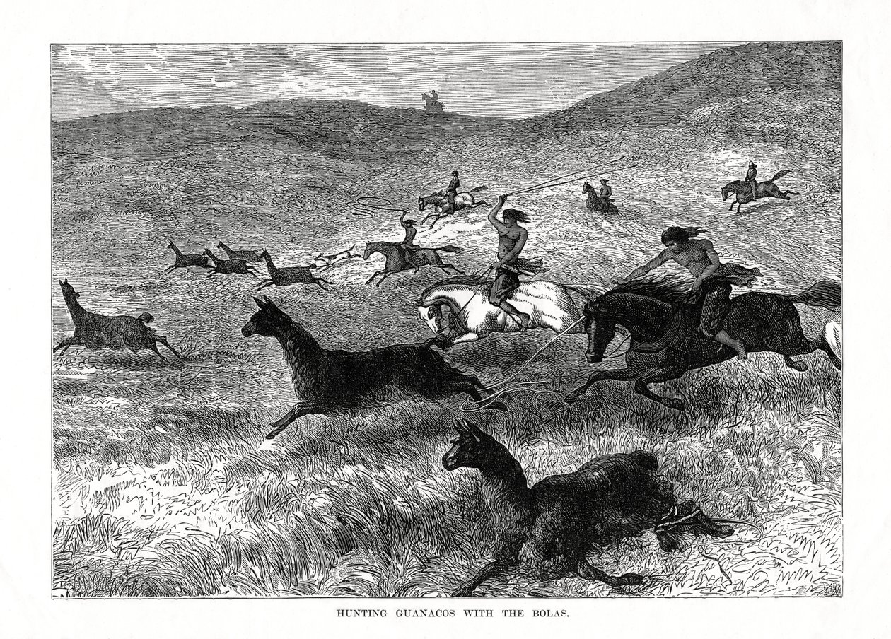Caza de guanacos con las bolas, Sudamérica, 1877 de Unbekannt