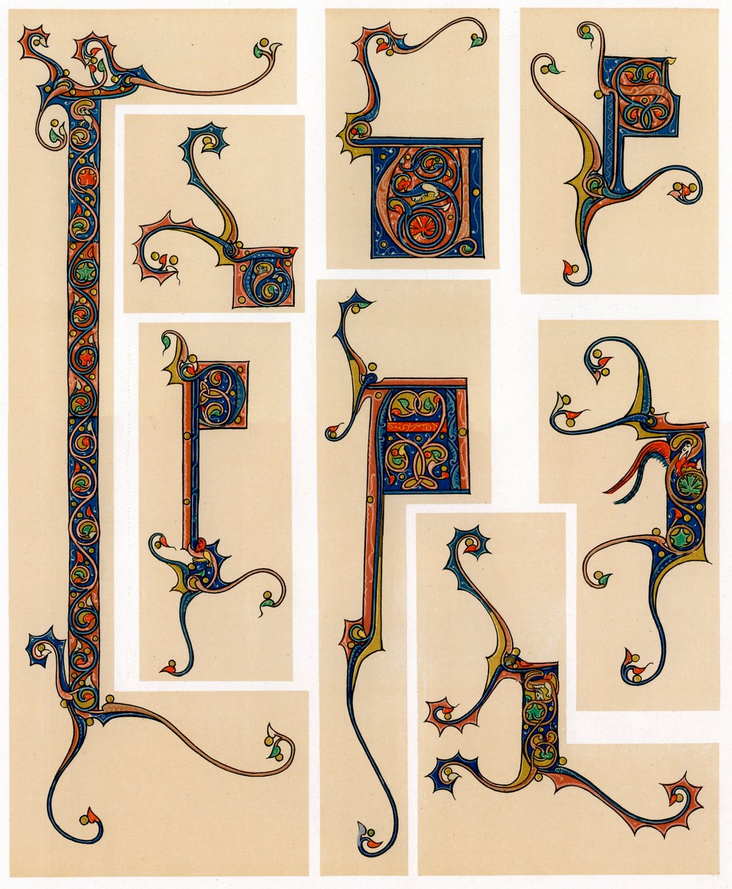 Letras iniciales iluminadas, siglo XIII de Unbekannt