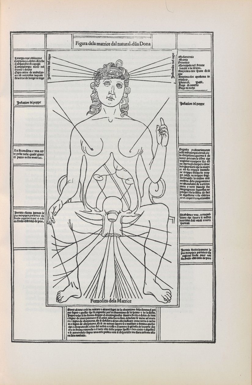 Ilustración de Fasciculo di medicina por Johannes de Ketham, 1493 de Unbekannt