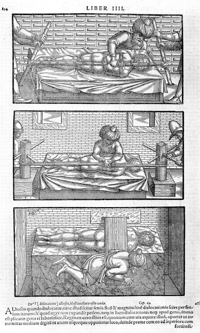 Ilustración del Liber canonis de medicinis cordialibus de Avicena, 1556 de Unbekannt