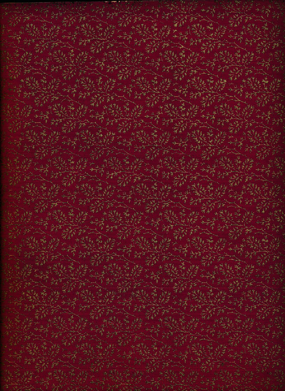 Patrón de la cubierta interior, 1901 de Unbekannt
