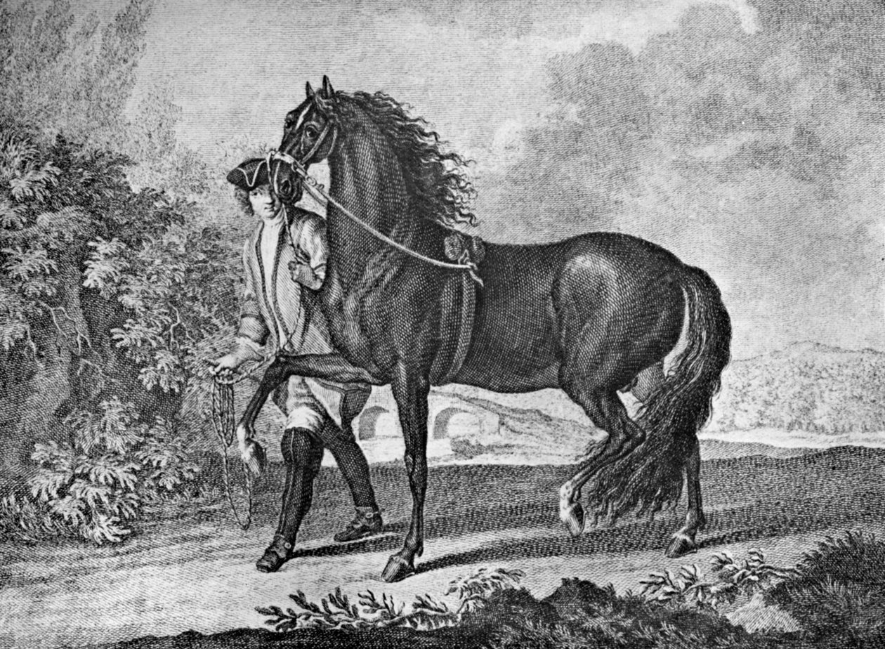 Caballo napolitano italiano, 1722 1938 de Unbekannt