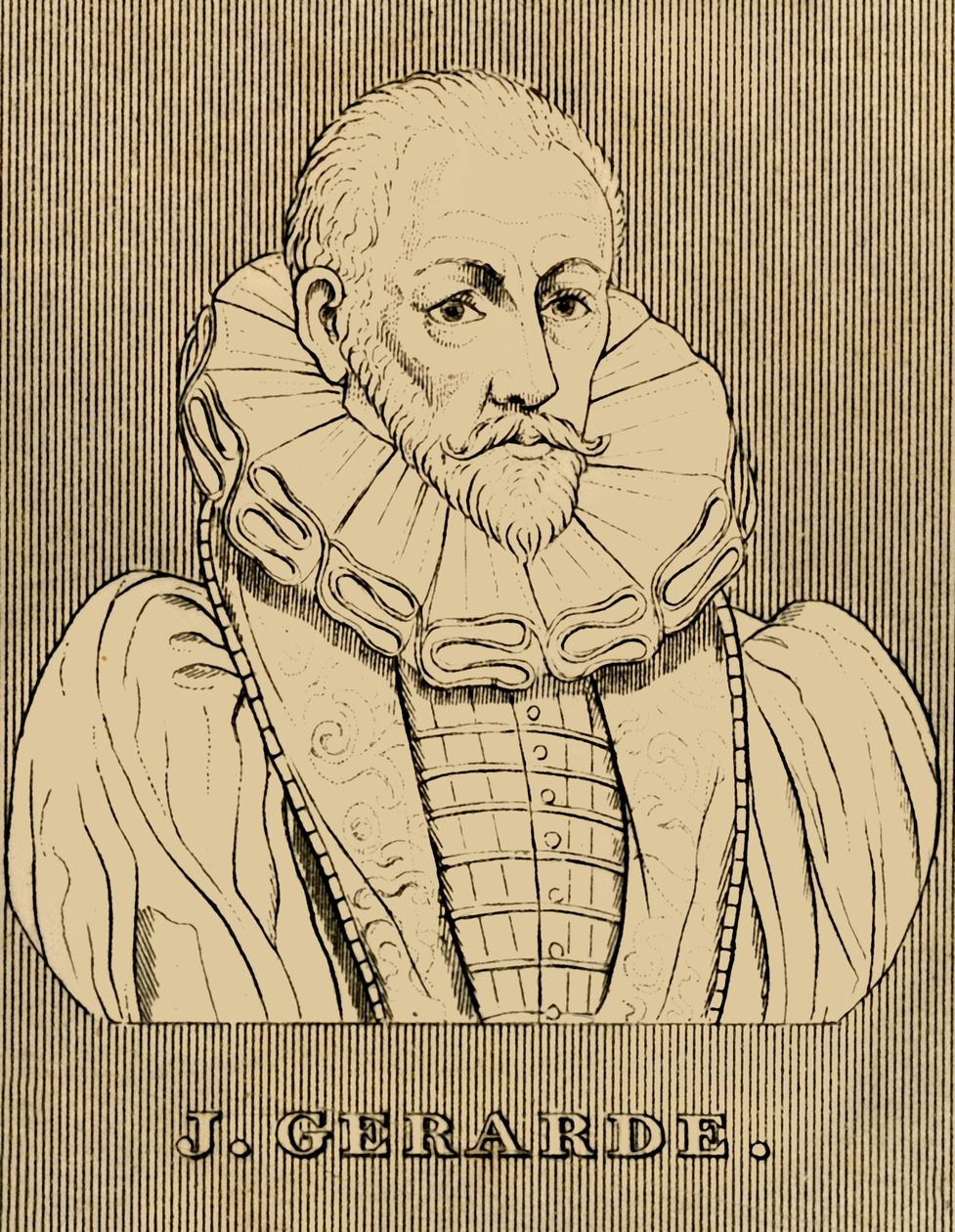J. Gerarde, c1545-1612, 1830 de Unbekannt
