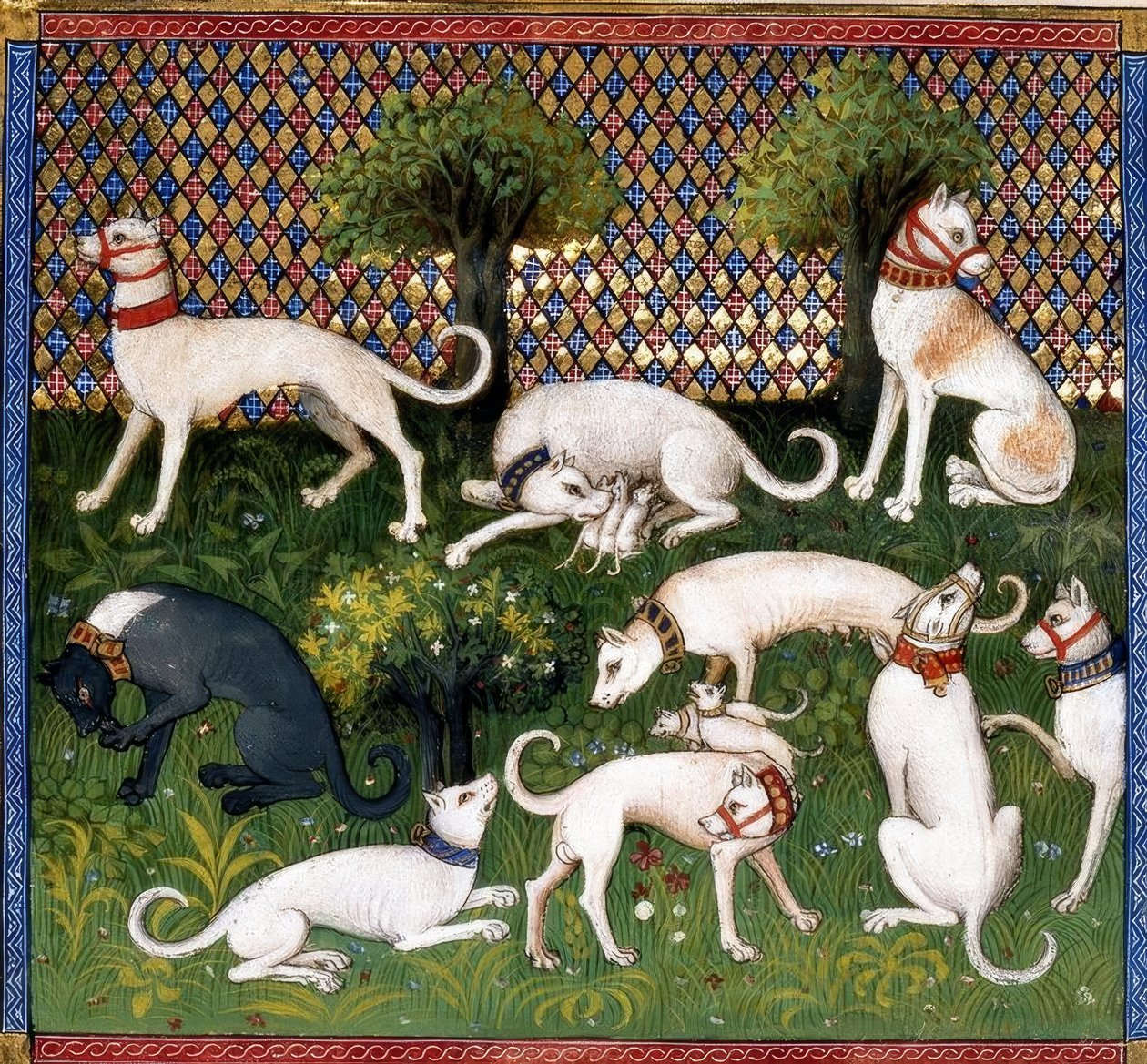 Perros de caza (Alan) / Libro de la Caza de Unbekannt
