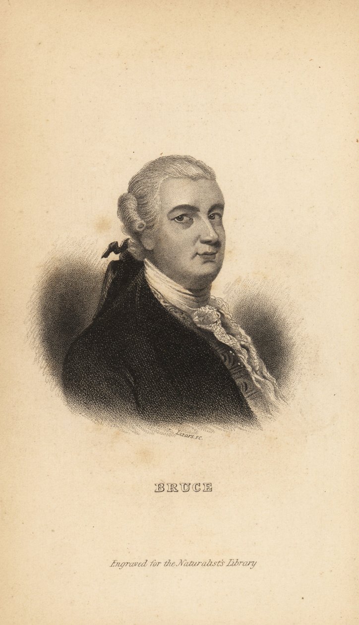 James Bruce de Kinnaird, explorador, escritor y naturalista escocés de Unbekannt