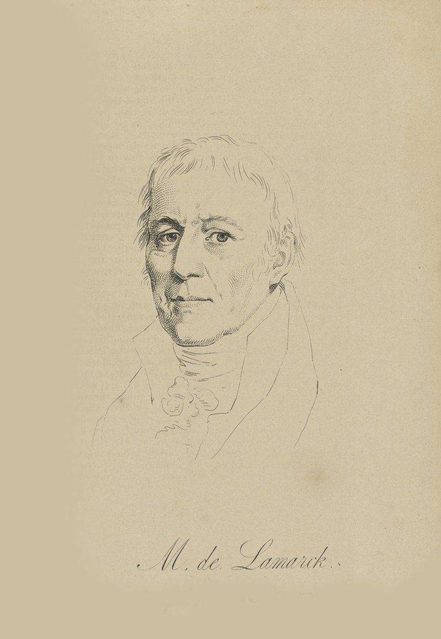Jean-Baptiste Pierre Antoine de Monet, Caballero de Lamarck de Unbekannt