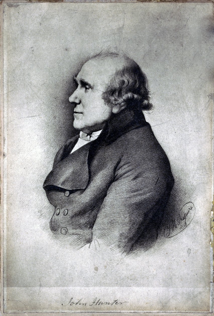 John Hunter, cirujano y anatomista británico, c. 1770s de Unbekannt