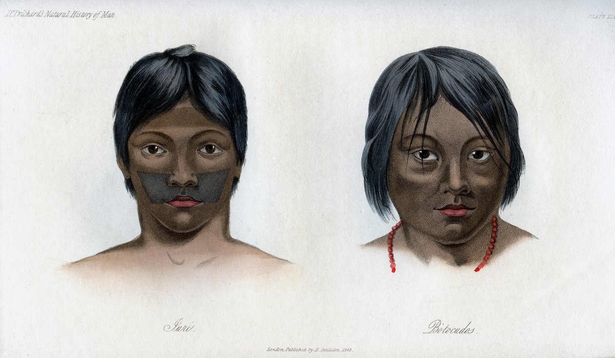 Juri y Botocudos, de la nación Brasilio-Guaraní, 1848 de Unbekannt
