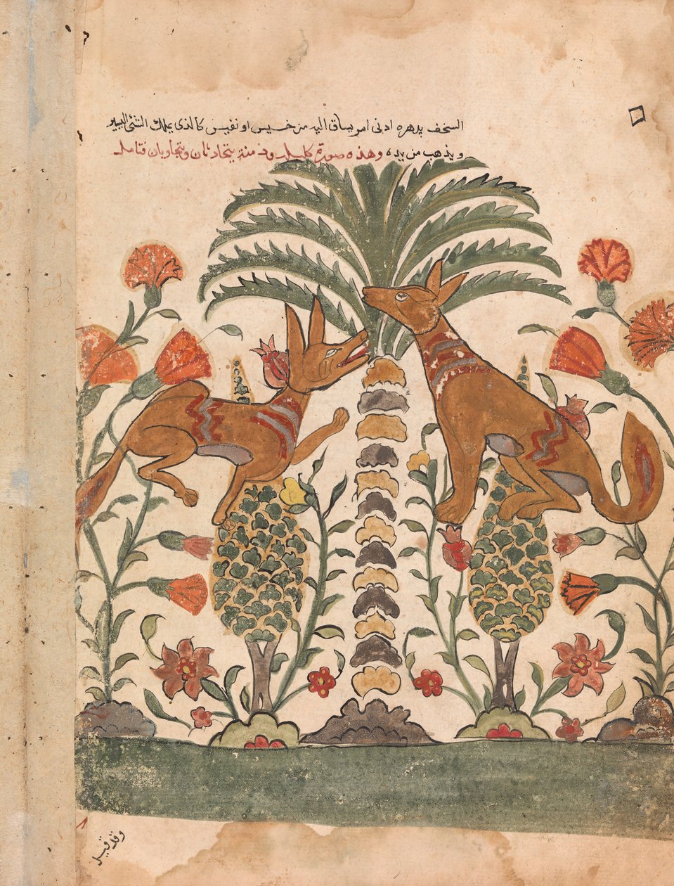 Kalila reprendiendo a Dimna, Folio de un Kalila wa Dimna, siglo XVIII de Unbekannt