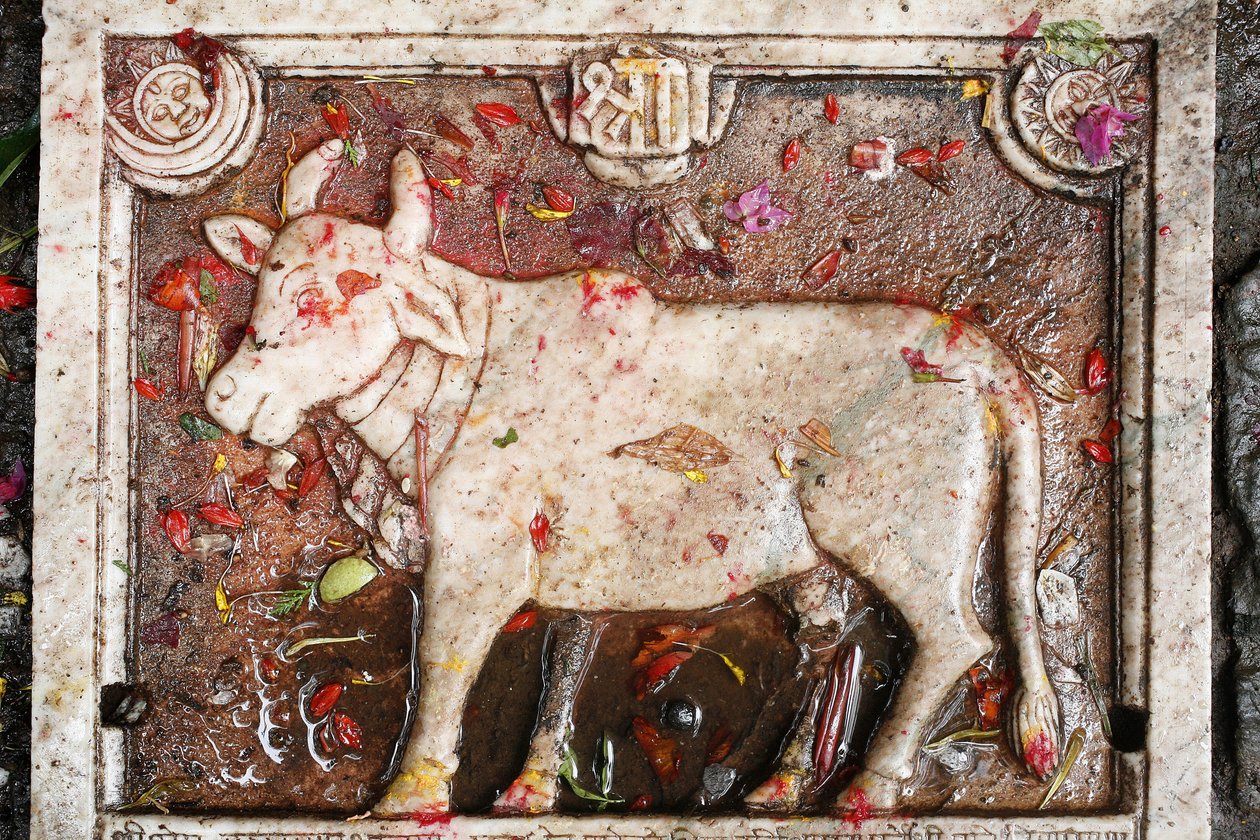 Vaca sagrada Kamdhenu, Shesh Narayana, Nepal de Unbekannt
