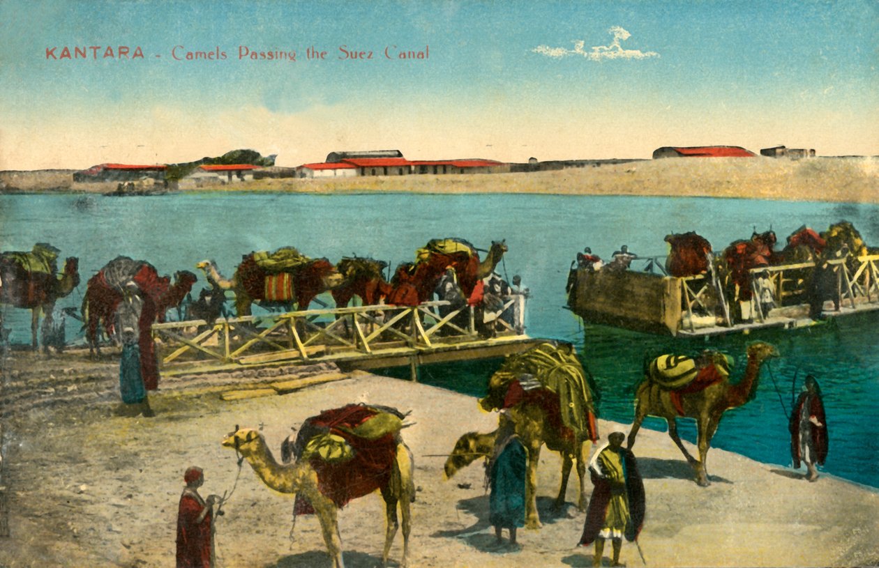Kantara - Camellos pasando el Canal de Suez, c1918-c1939 de Unbekannt