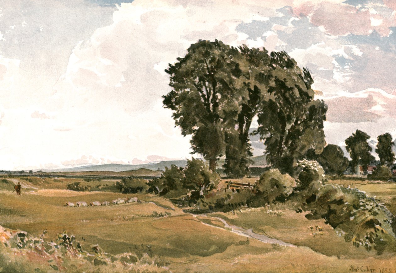 Paisaje, cerca de Wareham, Dorset - un Boceto al Aire Libre, c1900 de Unbekannt