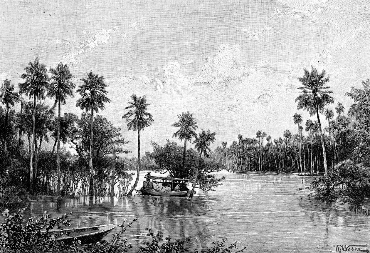 Las Palmes Lagunas, cerca de la desembocadura del Pilcomayo, 1895 de Unbekannt