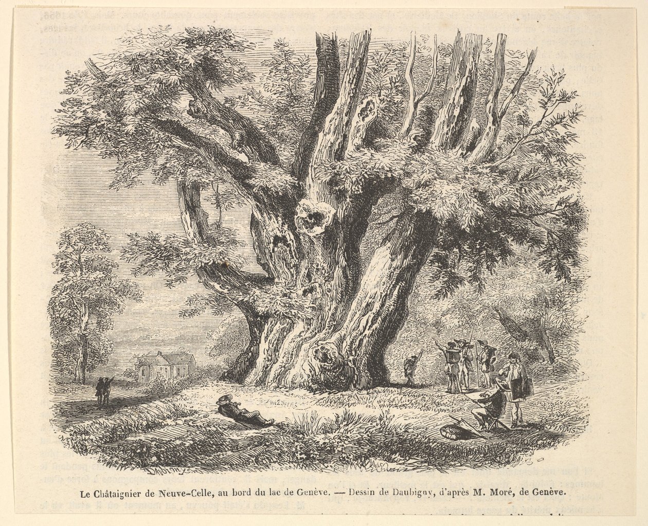 El castaño de Neuve-Celle, a orillas del lago de Ginebra, después de Daubigny de Unbekannt