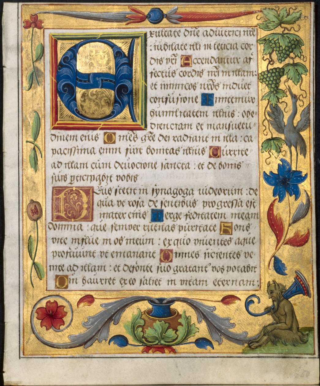 Hoja de un salterio y libro de oraciones: Inicial E con borde ornamental...recto, c. 1524 de Unbekannt
