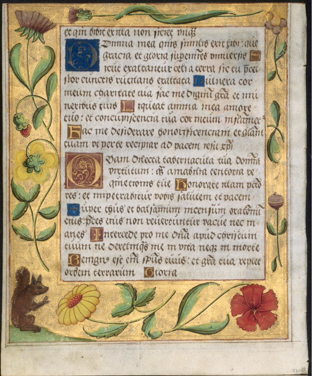 Hoja de un Salterio y Libro de Oraciones: Borde ornamental con flores y ardilla (verso) de Unbekannt