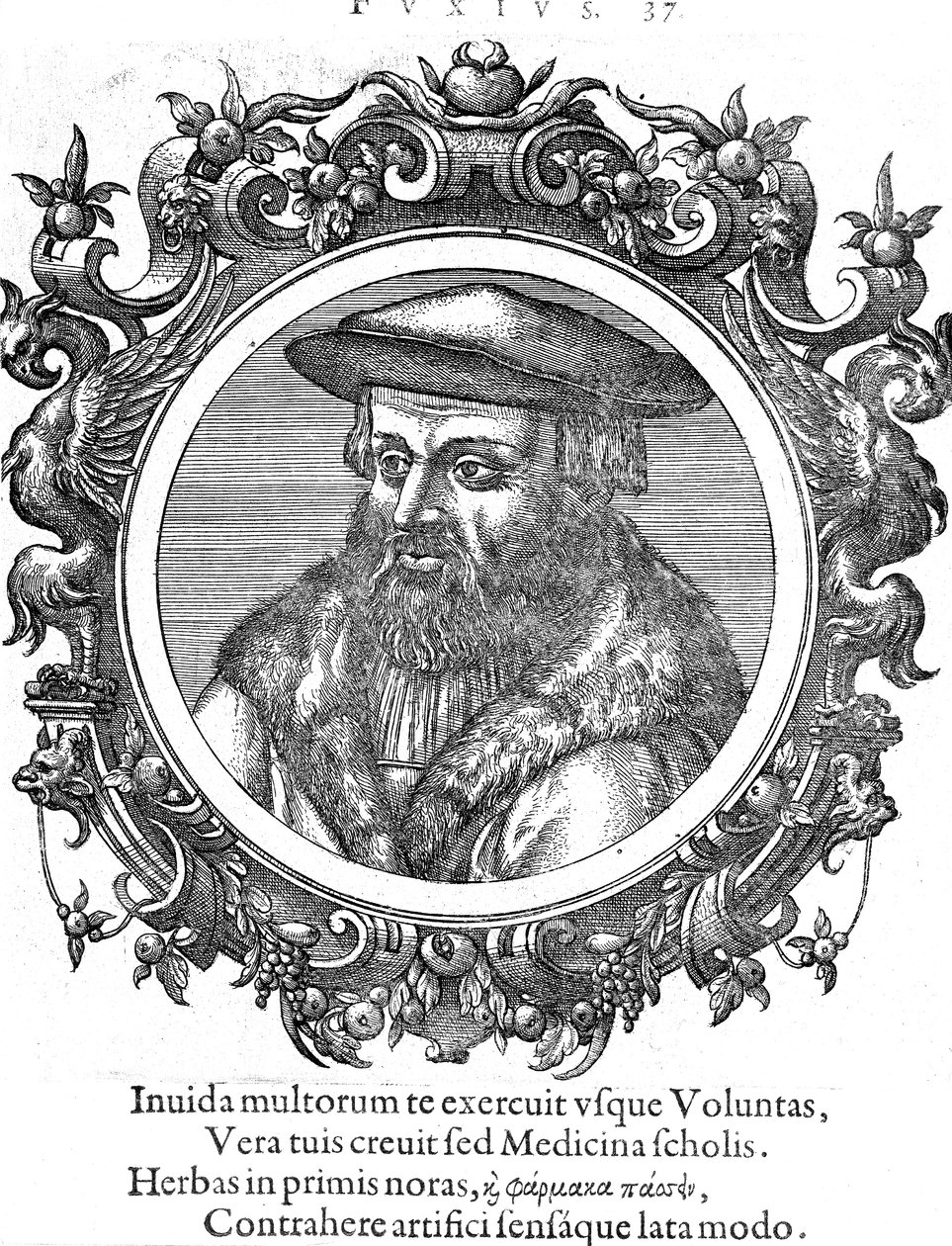 Leonhard Fuchs, botánico y médico alemán de Unbekannt