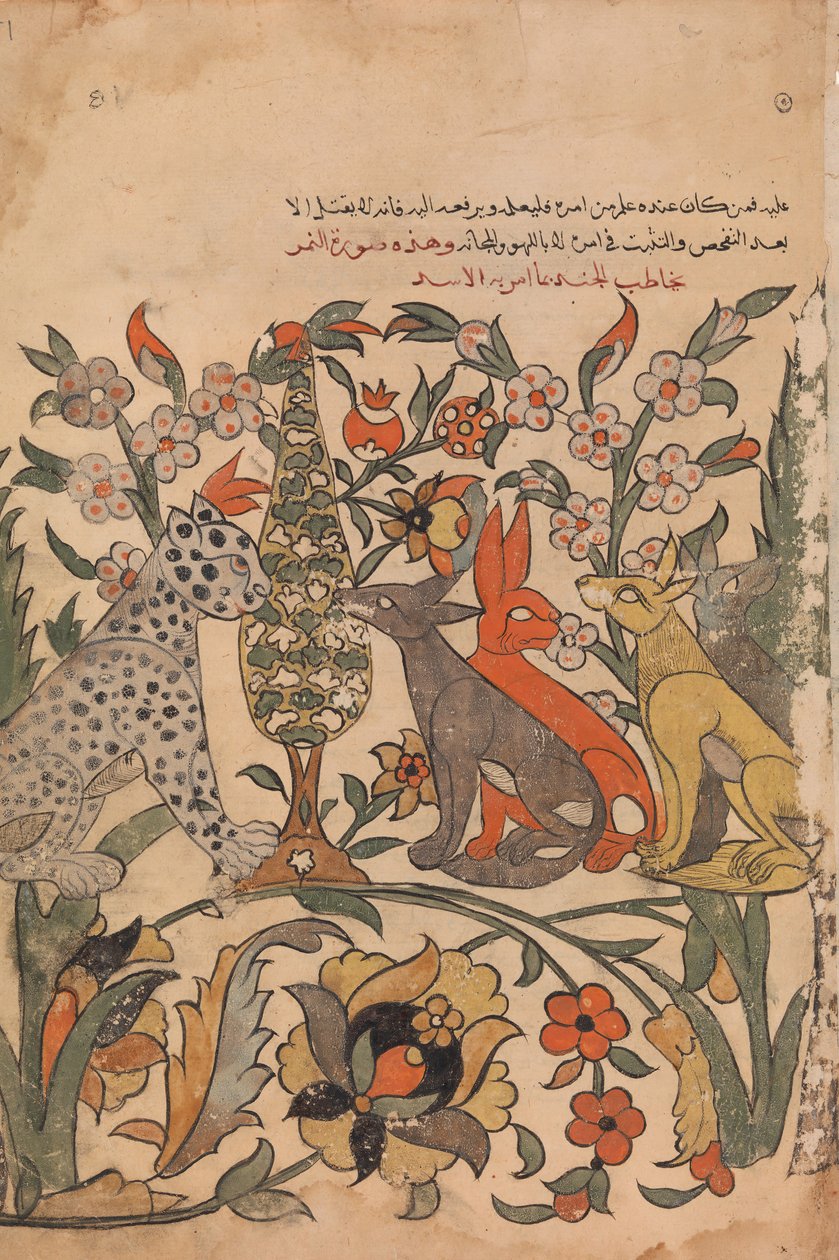 Leopardo Llevando la Orden del León a los Jueces Compañeros, Folio 51 recto de un Kalila wa Dimna, siglo XVIII de Unbekannt
