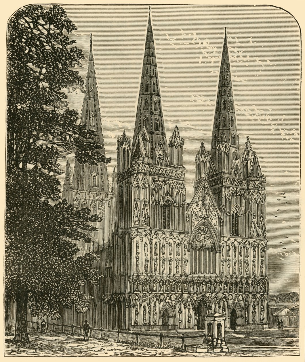 Catedral de Lichfield - La fachada oeste, 1898 de Unbekannt