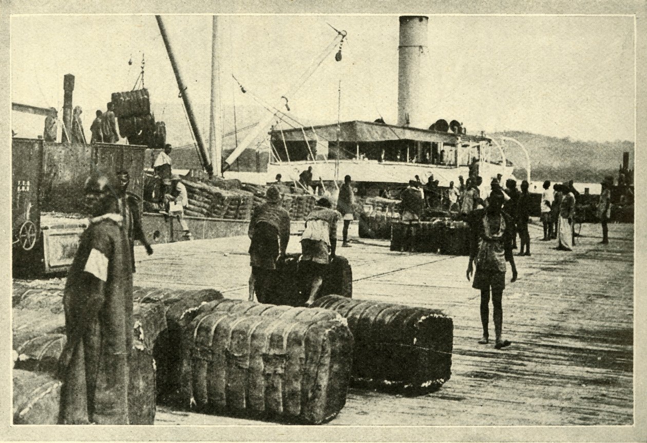 Cargando un cargamento de algodón, c1948 de Unbekannt