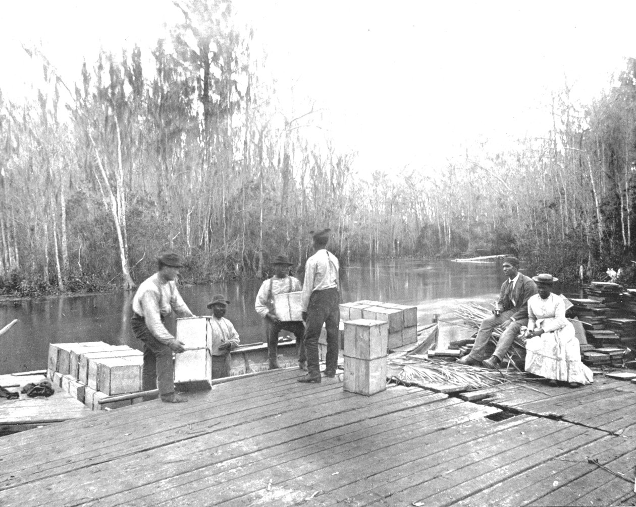 Cargando naranjas en el río Ocklawaha, Florida, EE.UU., c1900 de Unbekannt