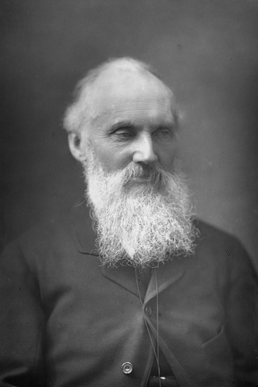 Lord Kelvin, matemático y físico escocés, c1890 de Unbekannt