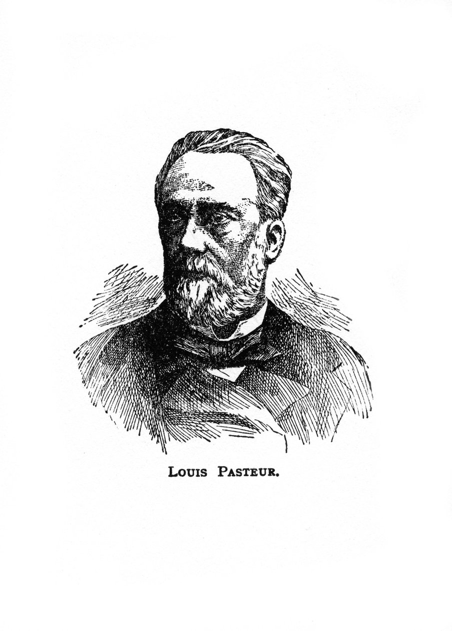 Louis Pasteur, microbiólogo y químico francés del siglo XIX, siglo XX de Unbekannt