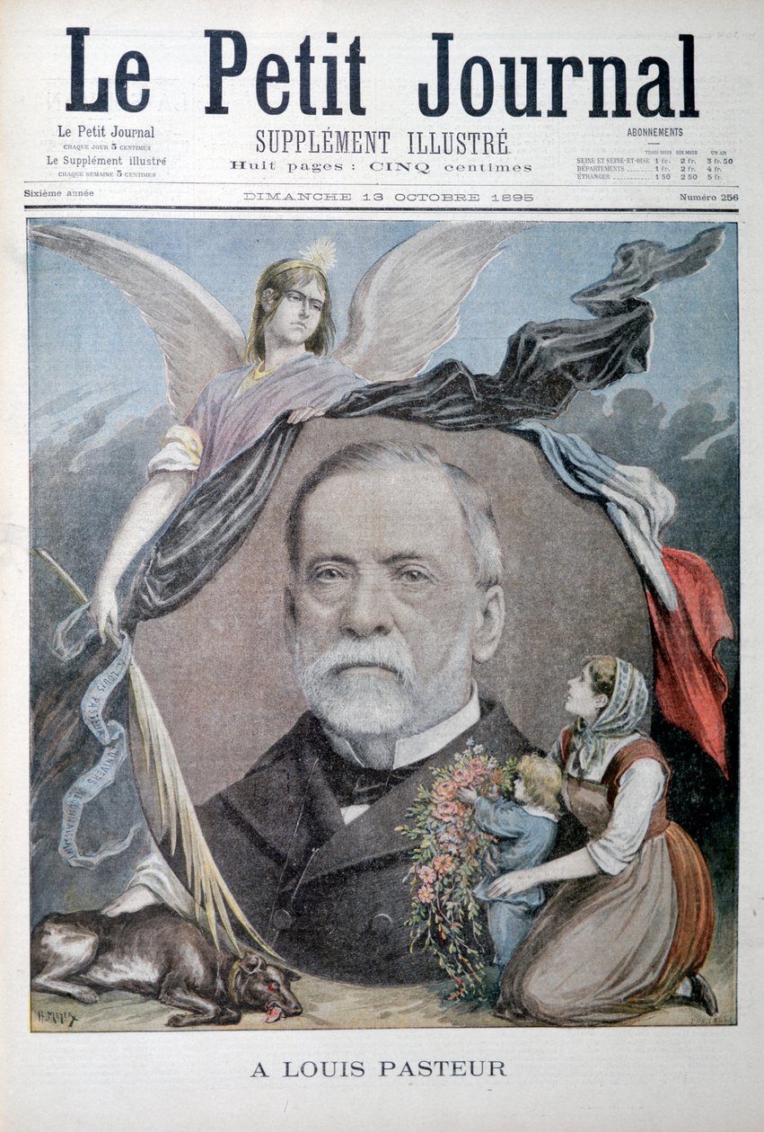 Louis Pasteur, químico francés, 1895 de Unbekannt