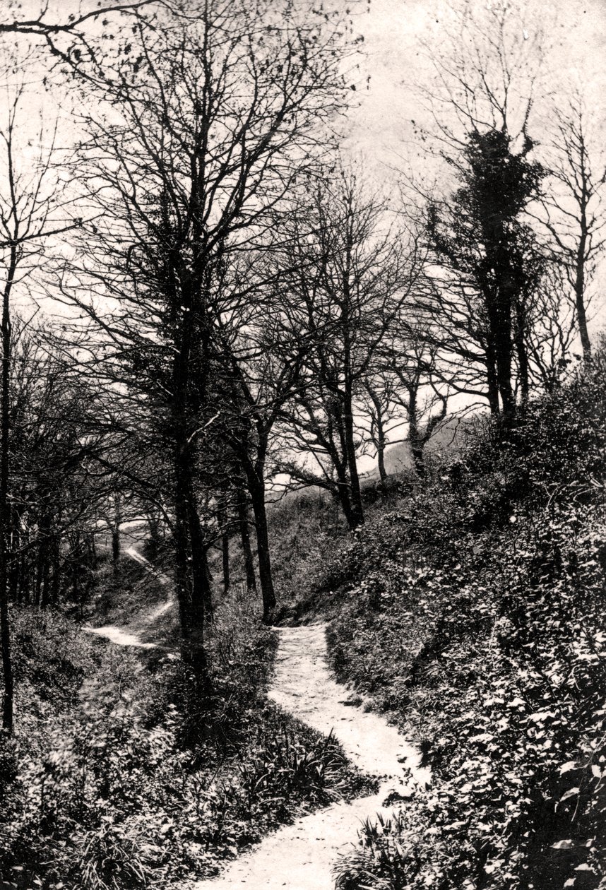 Lovers Lane, Fairlight, Hastings, Sussex de Unbekannt